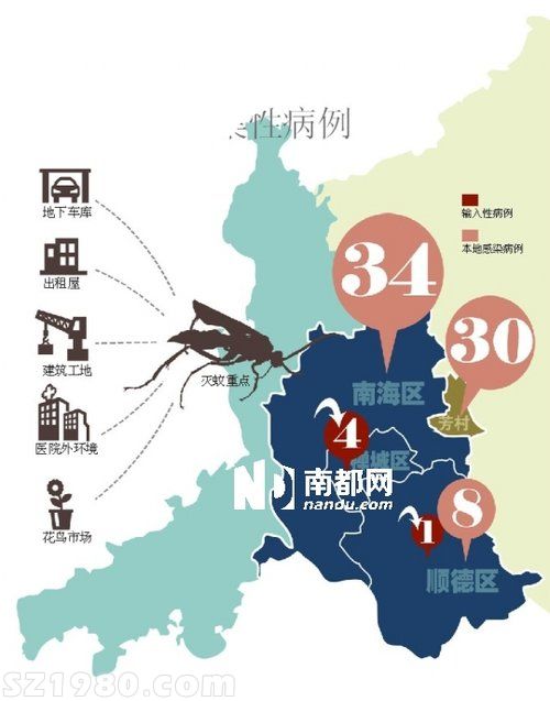 佛山本地登革热患者8天增两倍