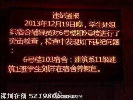 大学生在寝室养鳄鱼 盘点大学奇葩事