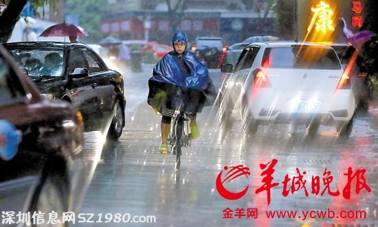 广东暴雨已致12人遇难 今天仍有大到暴雨