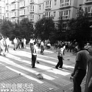 蓝翔副校长率百人跨省打架 警方成立专案组（组图）