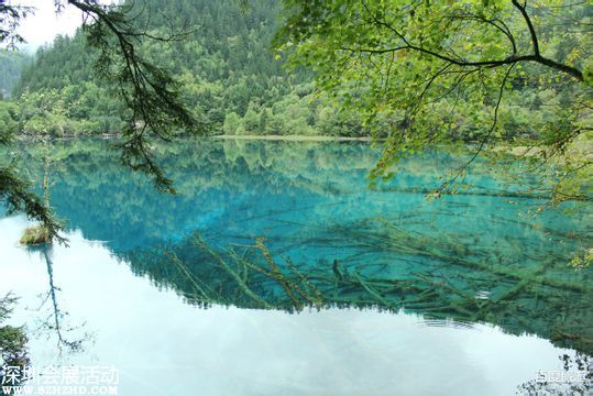 国庆第4天4.1万人游九寨沟 景区停售当天门票