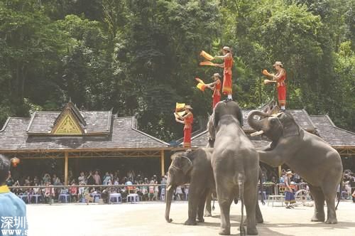 西双版纳旅游协会被指 蹲点 收 人头费 