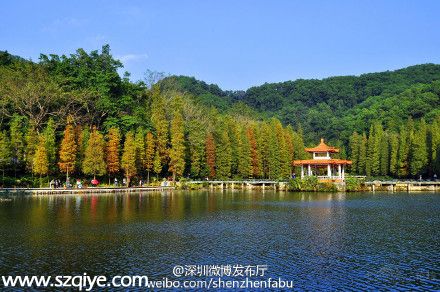 元宵节仙湖植物园交通管制 私家车禁止进入