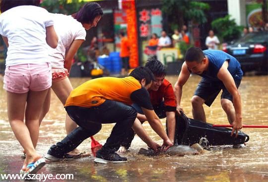 东莞降暴雨街道一片汪洋 市民街头抓鱼