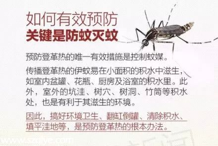 深圳登革热高发季杀到 预防宝典赶快收藏！