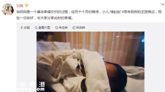 刘璇产子：儿子取名”雄赳赳“ 网友调侃再生一个”气昂昂“