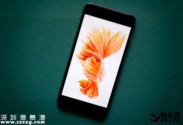 深圳(www.szxxg.com)海关重点打击iPhone 6S走私：要主动缴税