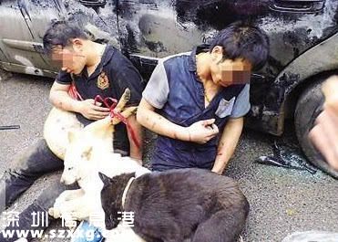 两男子偷狗被捉 胸前挂死狗示众10小时