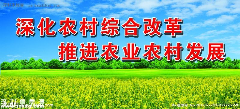 《深化农村改革综合性实施方案》全文