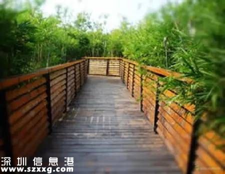 深圳(www.szxxg.com)已经建成2400公里绿道 最美10条绿道推荐