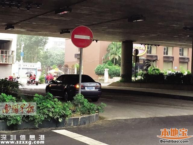 协警躲树丛拍违法车辆 执法方式遭质疑