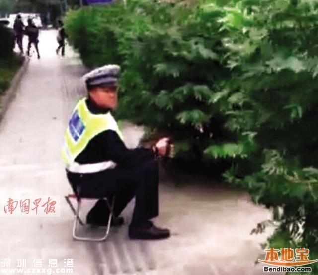 协警躲树丛拍违法车辆 执法方式遭质疑