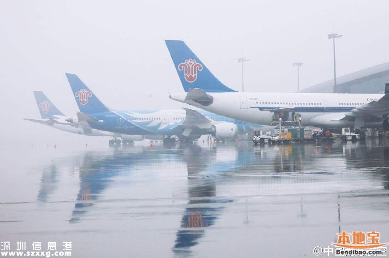 雷雨导致飞机延误 打这些电话及时掌握航班动向