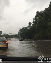 深圳暴雨 学校停课吗？