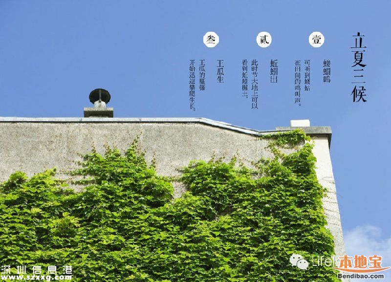 今日立夏 立夏三候是什么意思？