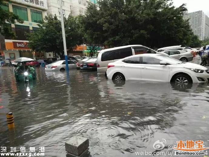 10日深圳全境暴雨 全市50多处积水内涝