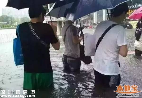 深圳龙舟水预计在5月中下旬 什么是龙舟水？