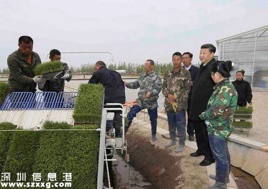 习近平登上中俄边界黑瞎子岛:保护生态 留一张白纸