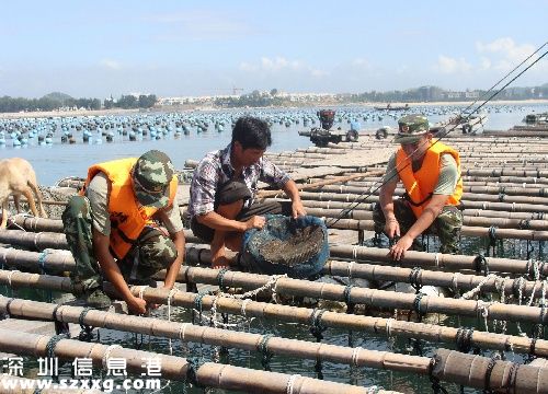 福建严防台风侵袭 武警及消防员已经全部奔赴各地支援