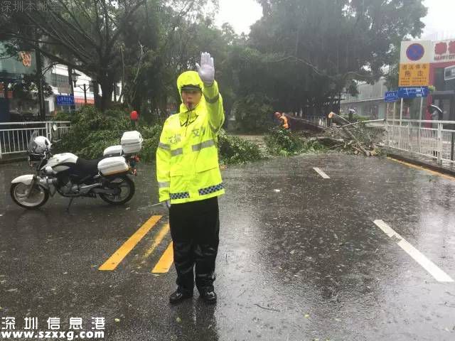 台风妮妲在深圳的全部历程 从出生到结尾