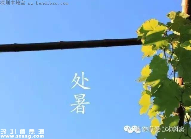 处暑是什么意思？代表什么？