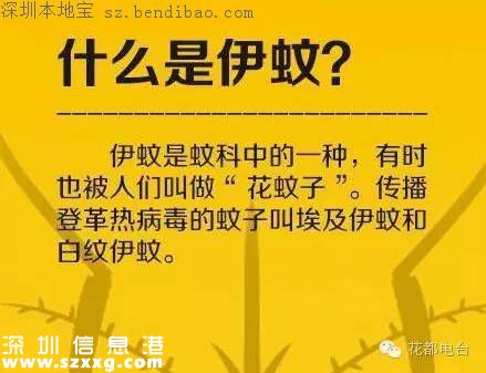 深圳现今年首例本地登革热病例 如何预防？