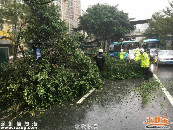 台风海马威力有多大？台风下的深圳街头