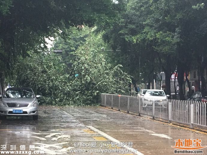 台风海马威力有多大？台风下的深圳街头