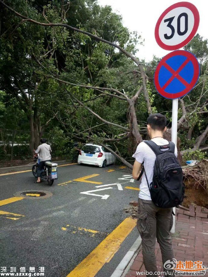 台风海马威力有多大？台风下的深圳街头