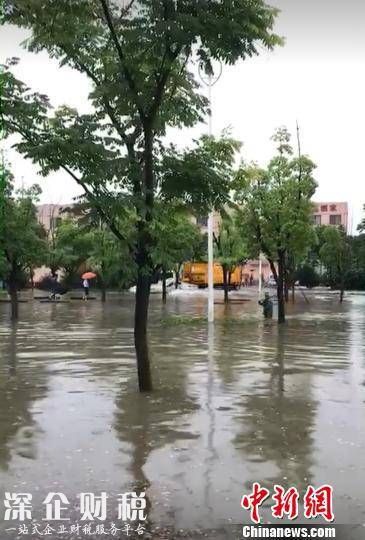 一场大雨，南京部分城区又见“碧波荡漾”　城管供图